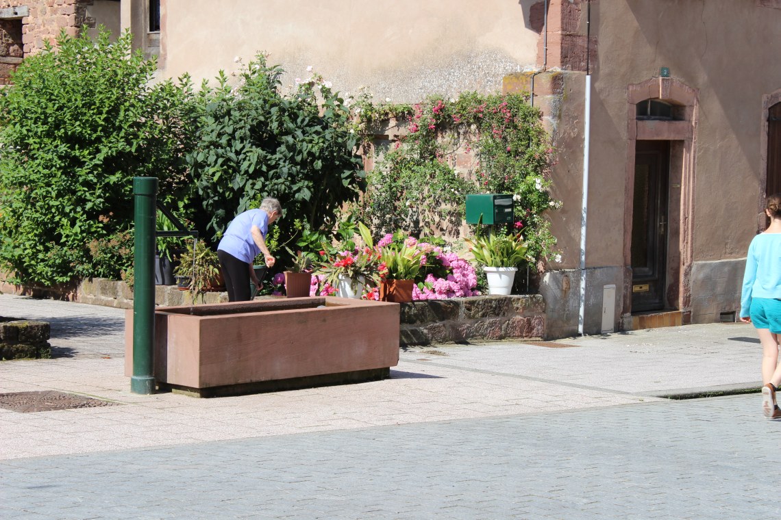 Bild 7